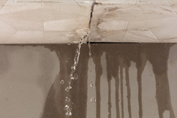 Professional Burst Pipe Cleanup technician working in Pine Hall, NC